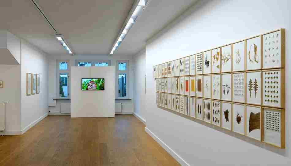020.BRADWOLFF PARTNERS -H.DE VRIES+M.BONAJO 2023-PH.GJ.vanROOIJ